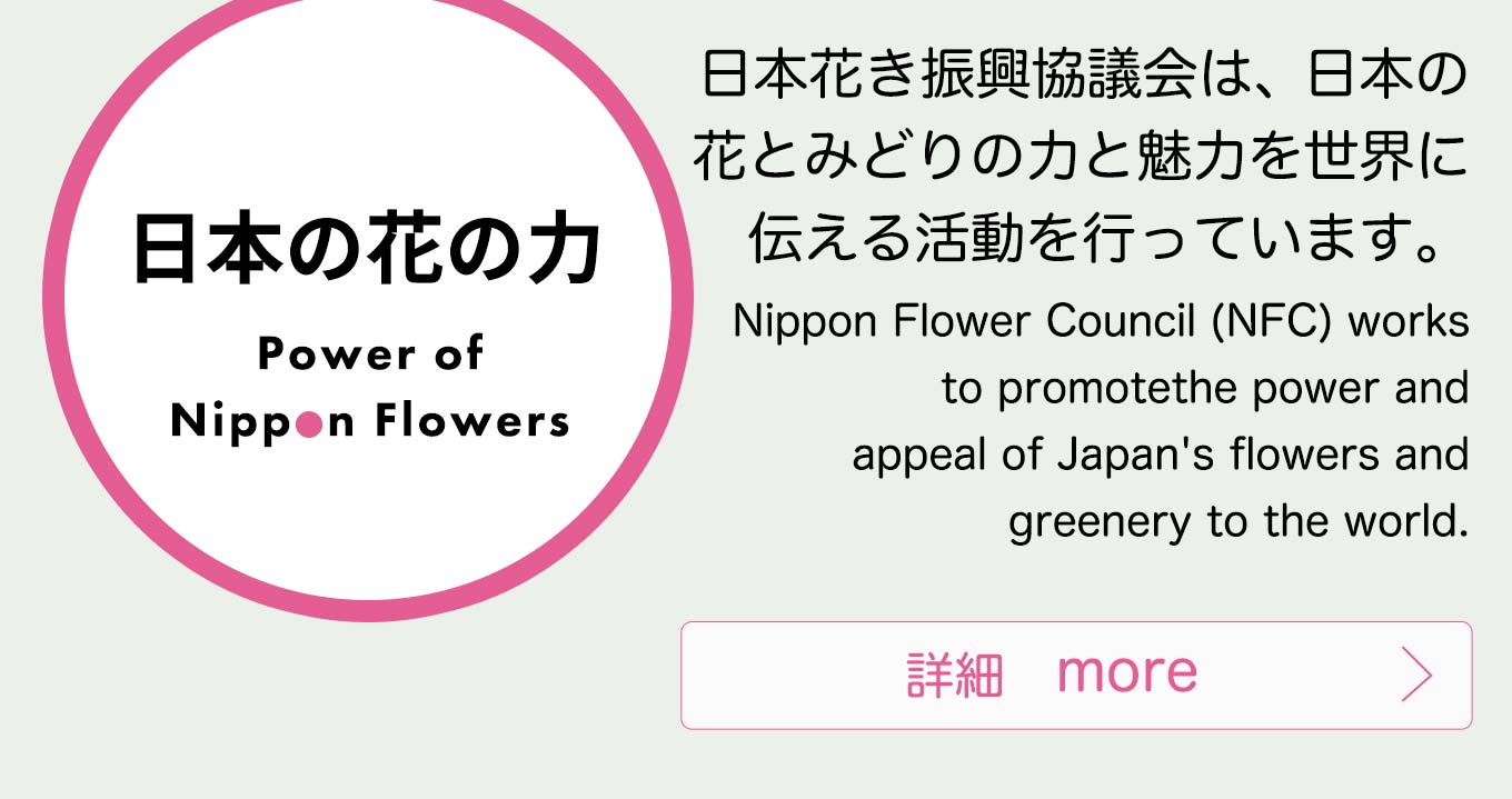 日本の花の力 Power of Nippon Flowers 日本花き振興協議会は、日本の花とみどりの力と魅力を世界に伝える活動を行っています。Nippon Flower Council (NFC) works to promote the power and appeal of Japan's flowers and greenery to the world.